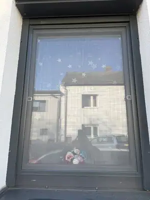 Okenní síť proti hmyzu instalovaná s venkovní roletou v Kladně