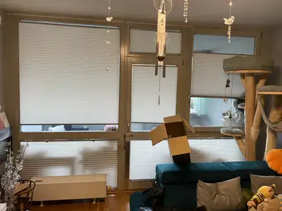 Plisé rolety instalované v bytě v Praze – bezpečné pro kočky a odolné stínění oken