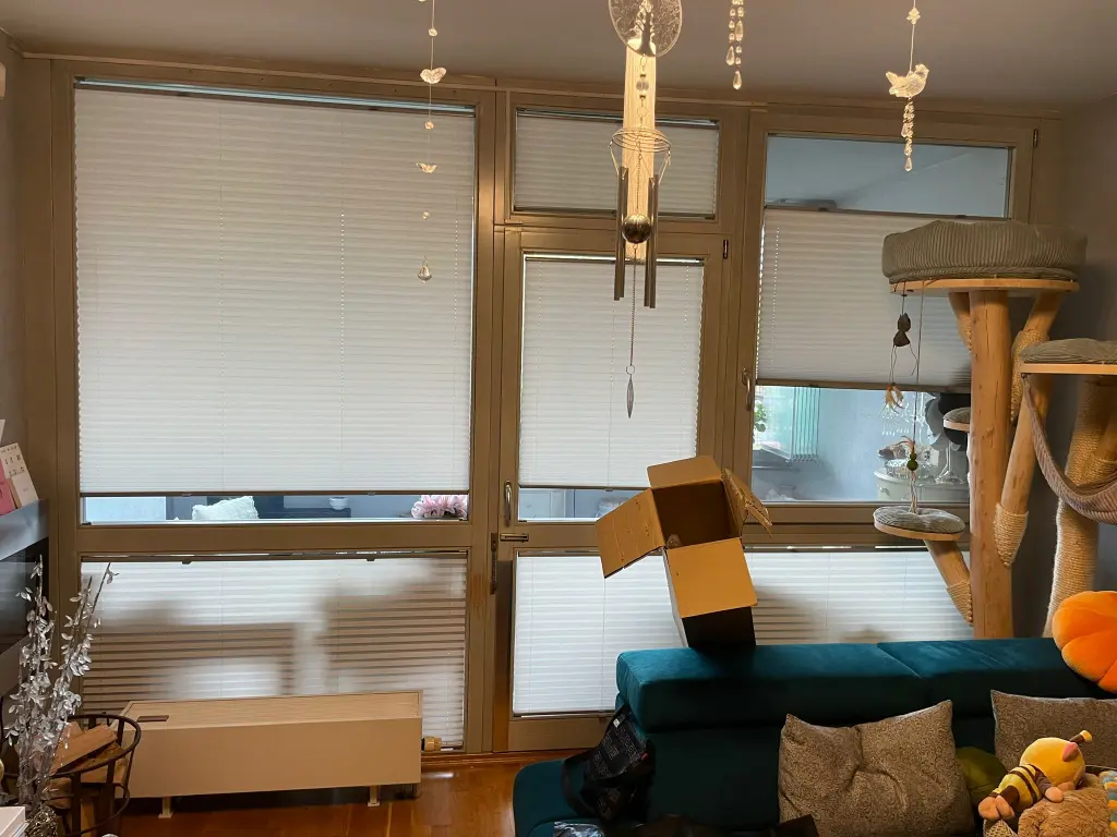 Plisé rolety v kanceláři - Beroun